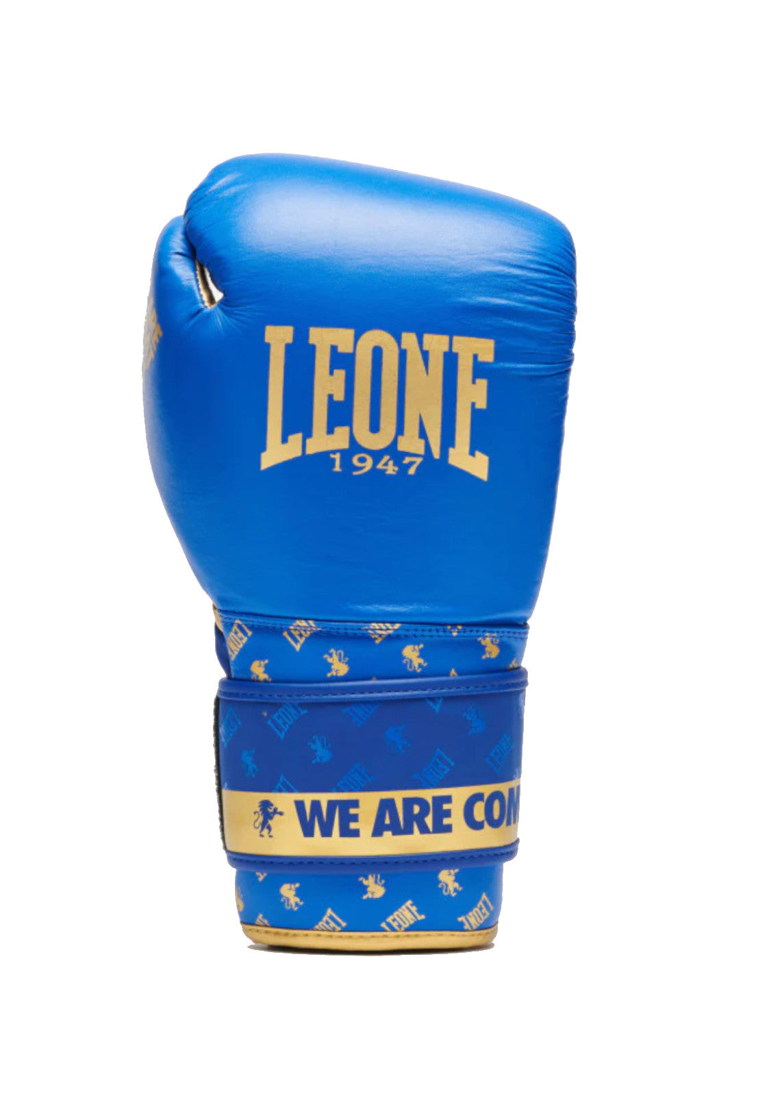 BOXE-KARATE-JUDO Azzurro/oro Leone