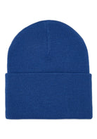 ACCESSORI LIFESTYLE Azzurro Carhartt