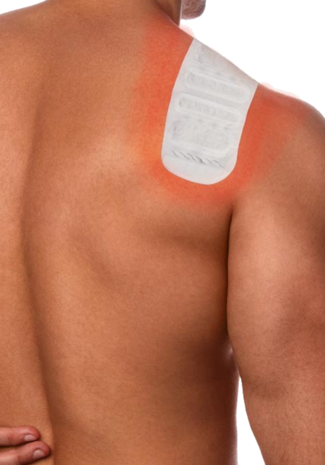 ACCESSORI PALESTRA Bianco Teradol