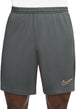 PANTALONCINI Grigio/nero Nike