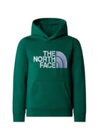 FELPE Verde/bianco The North Face