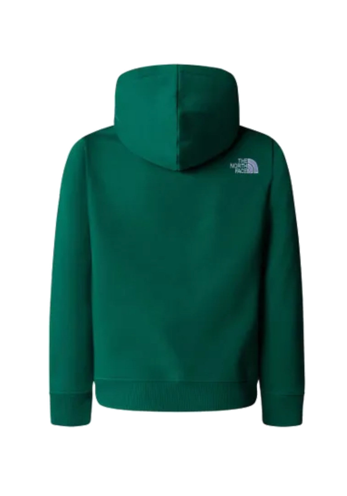 FELPE Verde/bianco The North Face