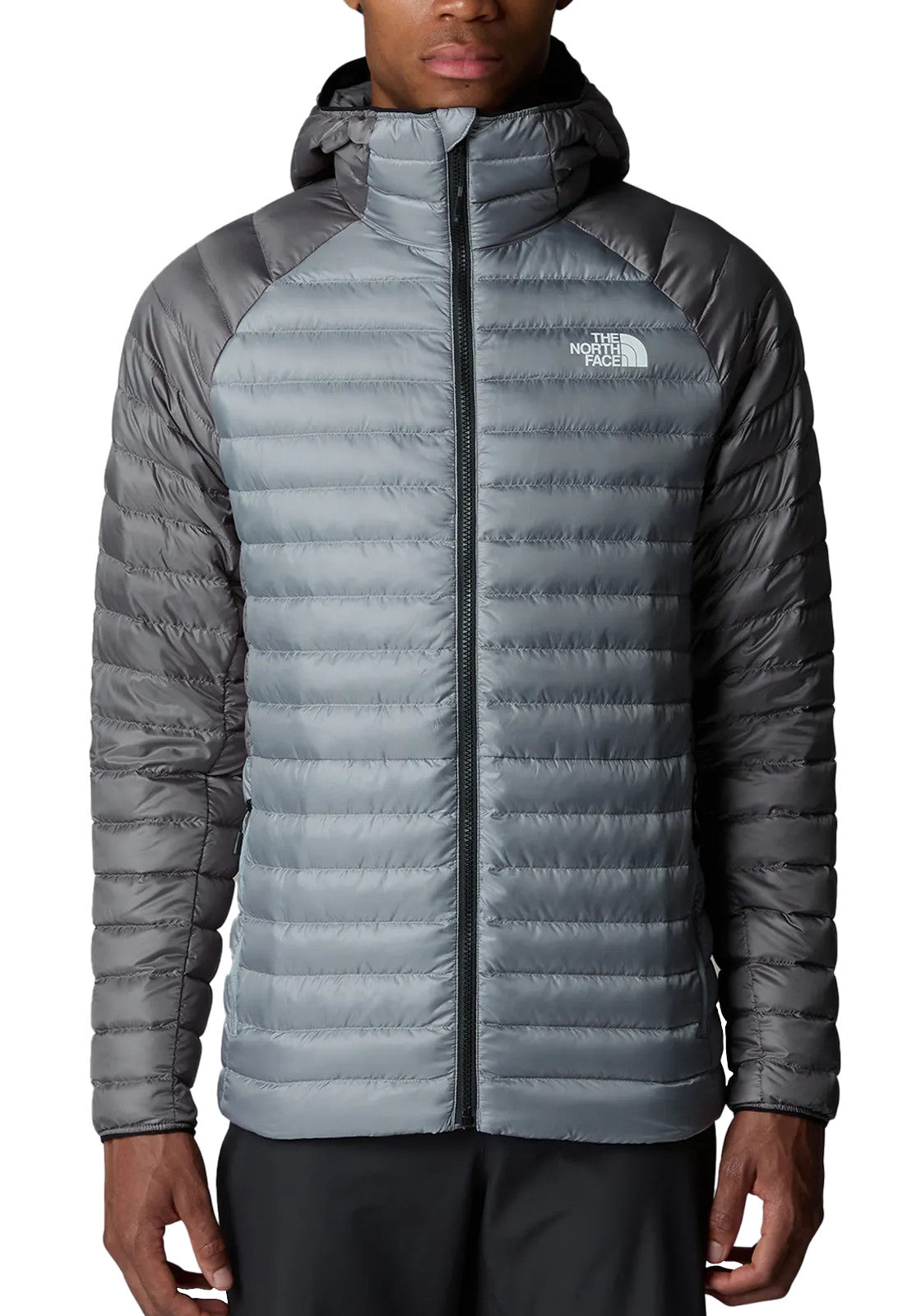 GIUBBINI E GIACCHE Grigio The North Face