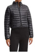 GIUBBINI E GIACCHE Nero Calvin Klein