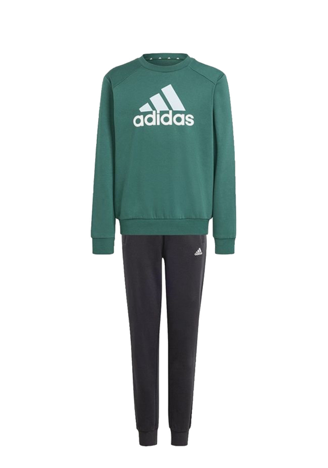 TUTE Verde/nero Adidas