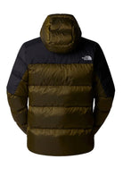 GIUBBINI E GIACCHE Verde/nero The North Face