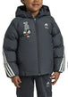 GIUBBINI E GIACCHE Grigio/bianco Adidas