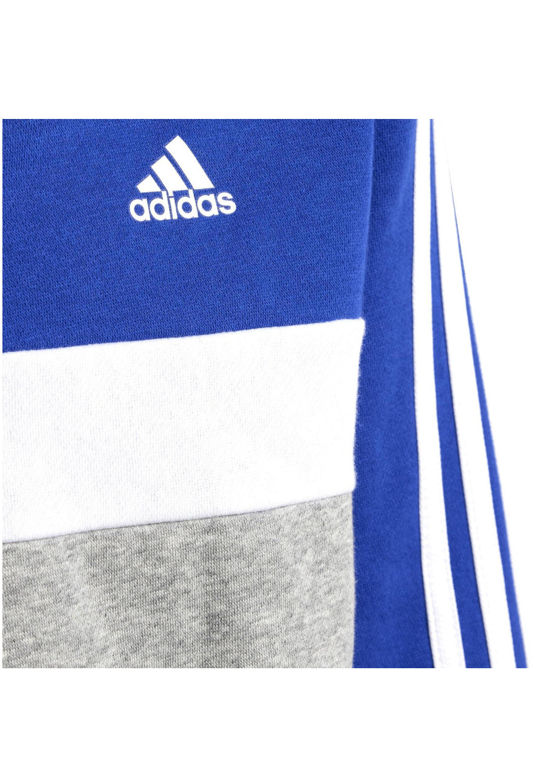 TUTE Azzurro/blu Adidas