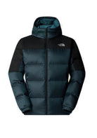 GIUBBINI E GIACCHE Blu/nero The North Face