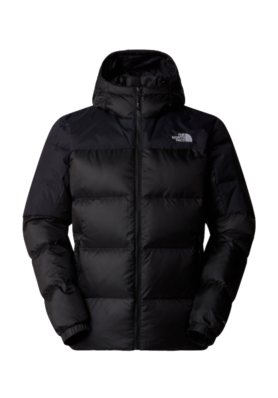 GIUBBINI E GIACCHE Nero The North Face