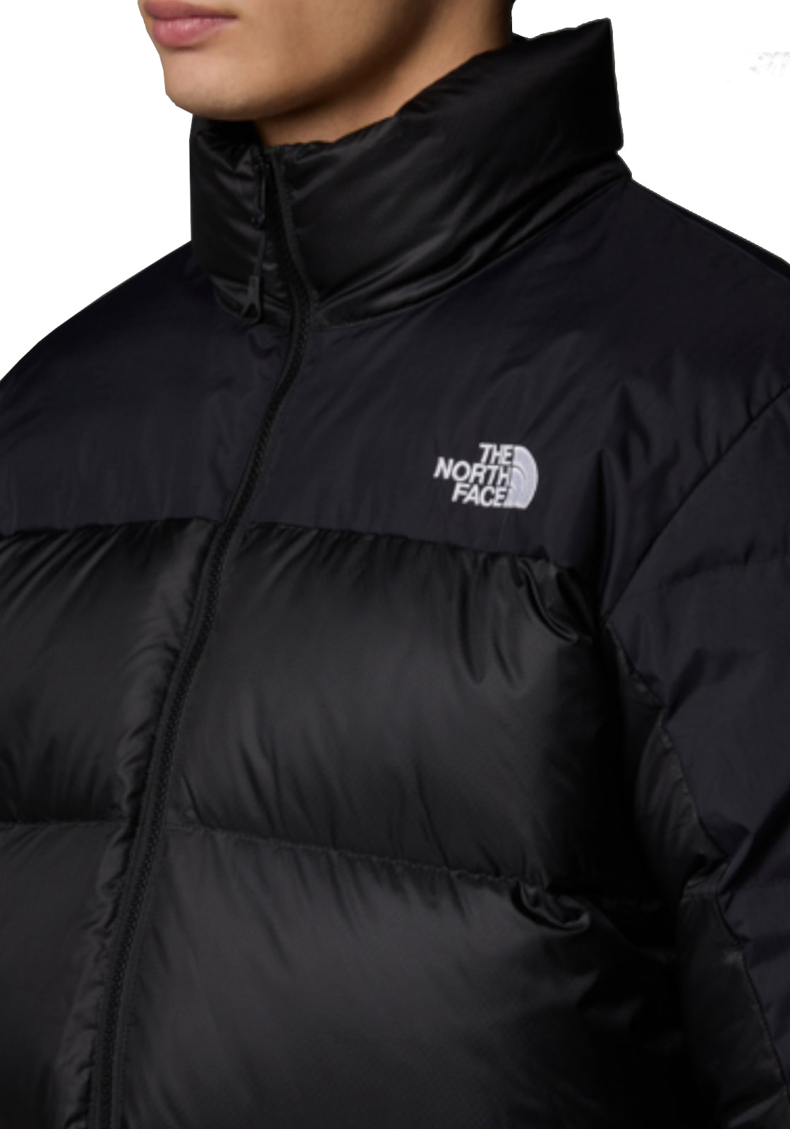 GIUBBINI E GIACCHE Nero The North Face