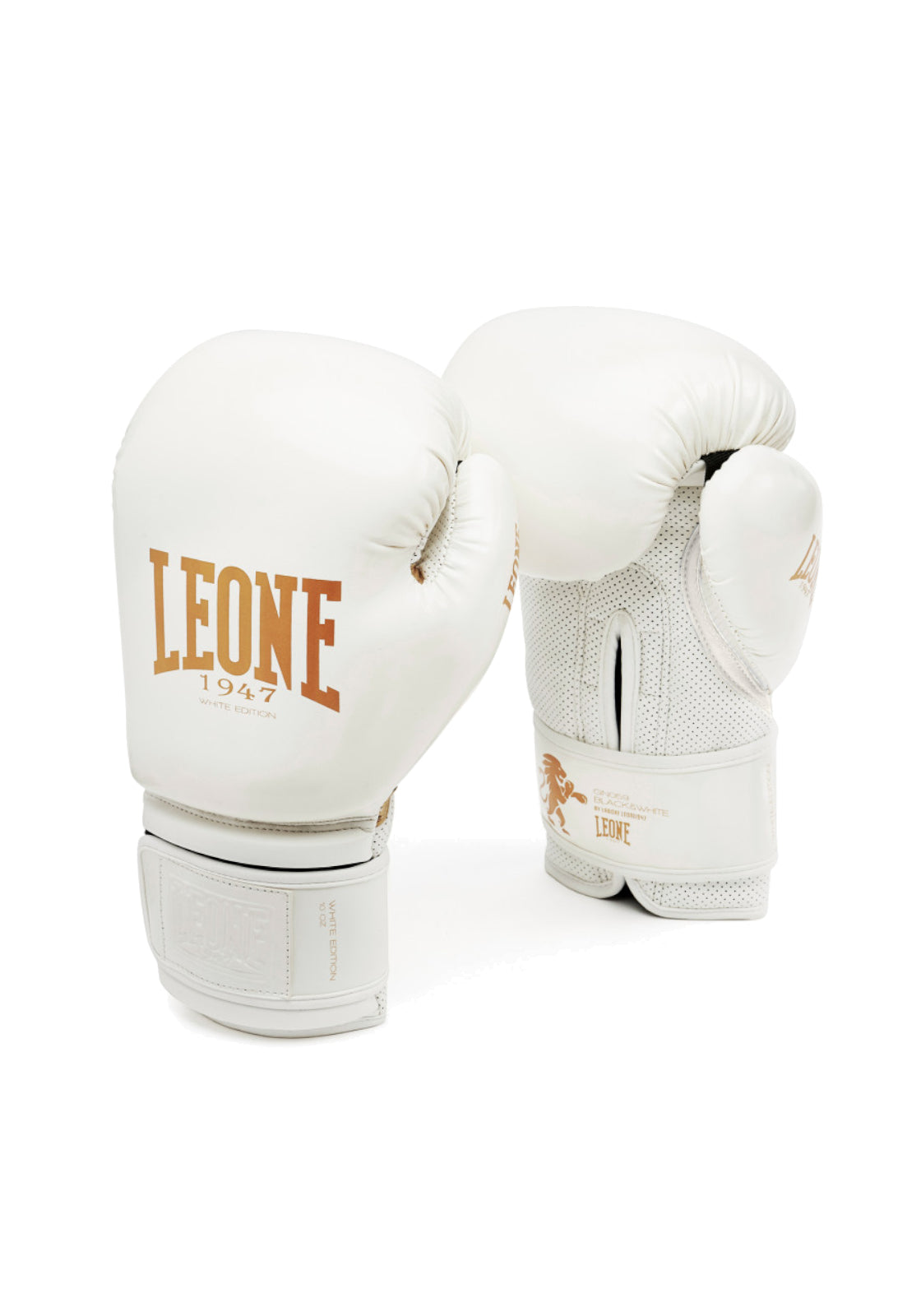 BOXE-KARATE-JUDO Bianco/oro Leone