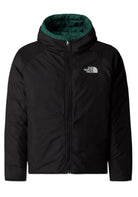 GIUBBINI E GIACCHE Verde/nero The North Face