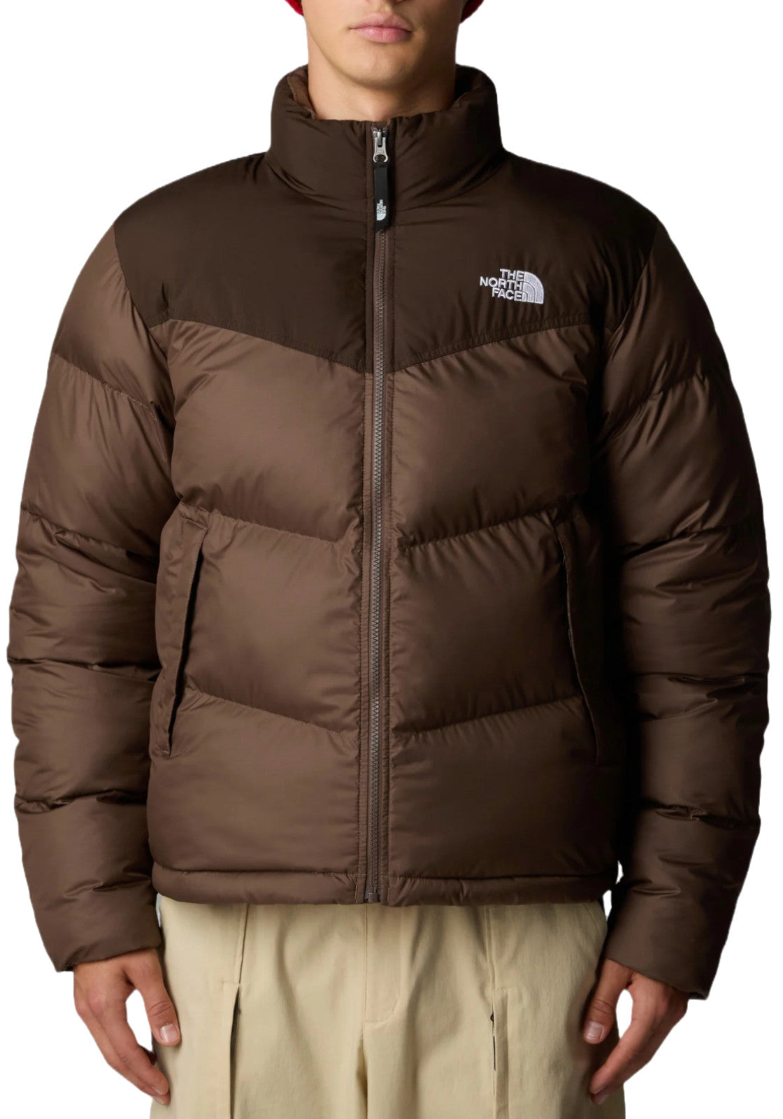 GIUBBINI E GIACCHE Marrone The North Face