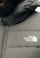 GIUBBINI E GIACCHE Grigio The North Face