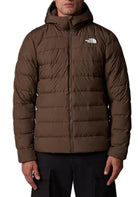 GIUBBINI E GIACCHE Marrone The North Face