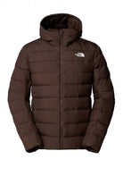 GIUBBINI E GIACCHE Marrone The North Face