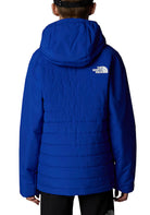 GIUBBINI E GIACCHE Blu/azzurro The North Face