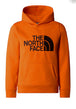 FELPE Arancio/nero The North Face