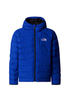 GIUBBINI E GIACCHE Blu/nero The North Face