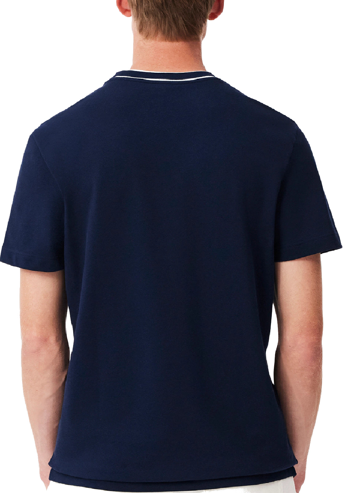 T-SHIRT E CANOTTE Blu/bianco Lacoste