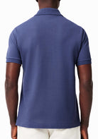 MAGLIONI E POLO Avio Lacoste