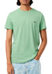 T-SHIRT E CANOTTE Verde Prato Lacoste