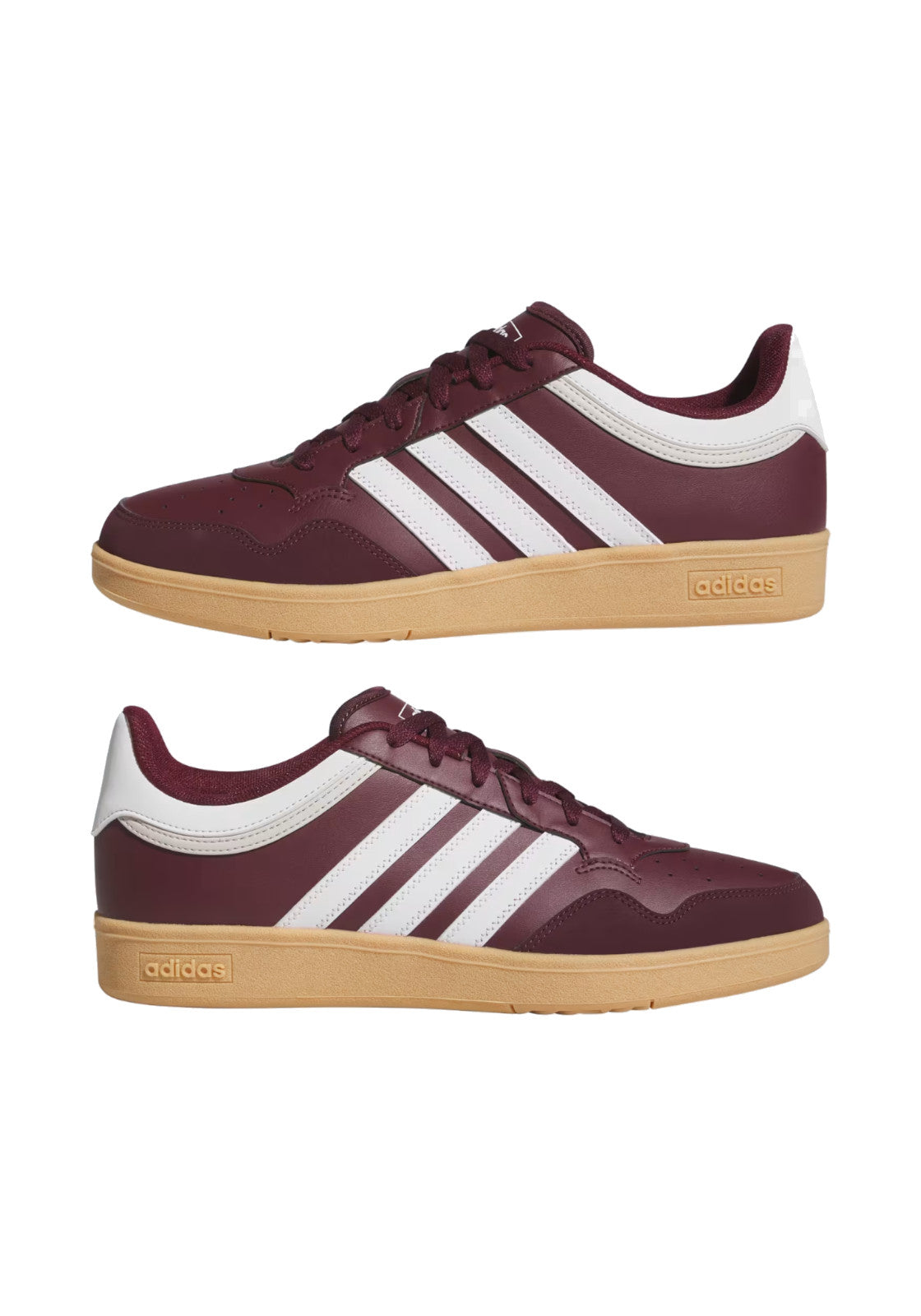 SCARPE Bordeaux Adidas