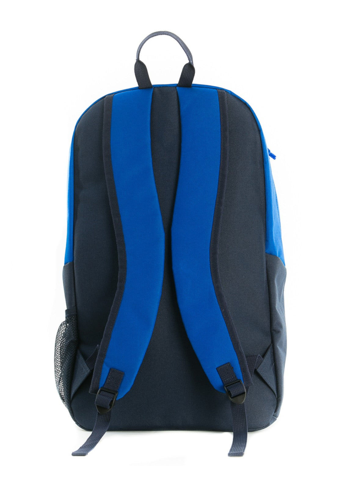 ACCESSORI LIFESTYLE Blu/azzurro Aquarapid