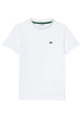 T-SHIRT E CANOTTE Bianco Lacoste