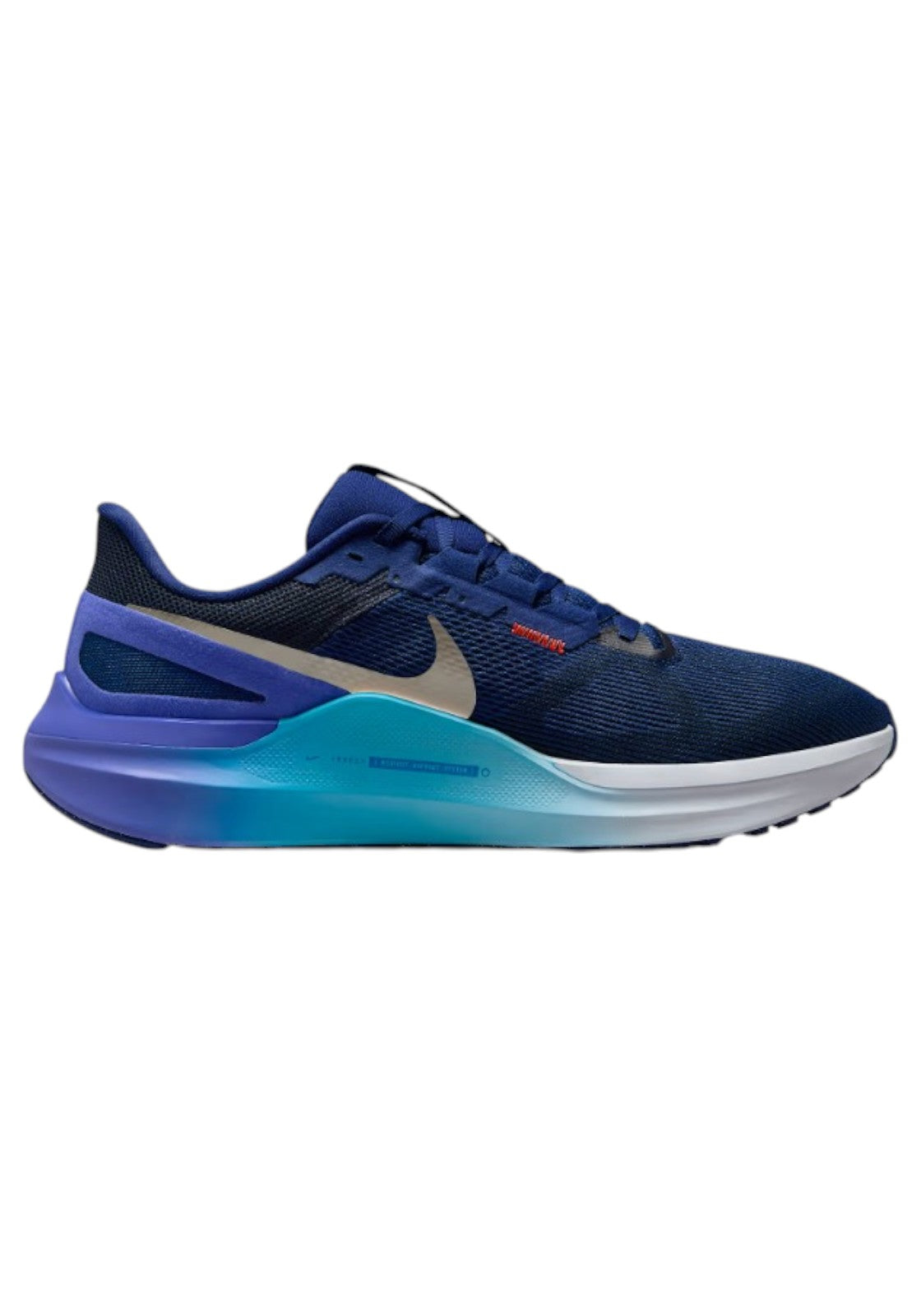 SCARPE Blu/viola Nike