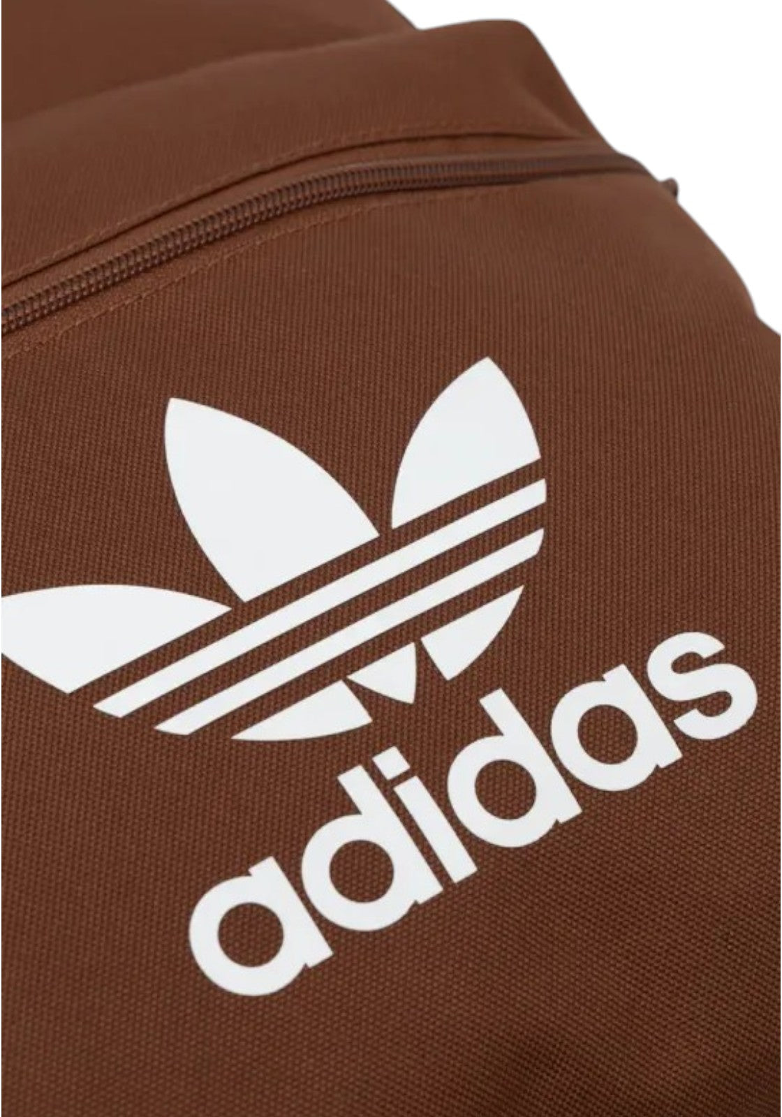 ACCESSORI LIFESTYLE Marrone/bianco Adidas Originals