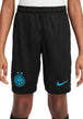 PANTALONCINI Nero/azzurro Nike