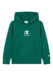 FELPE Verde/bianco Champion