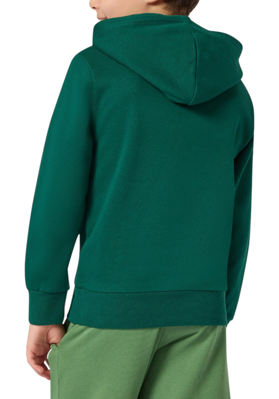 FELPE Verde/bianco Champion