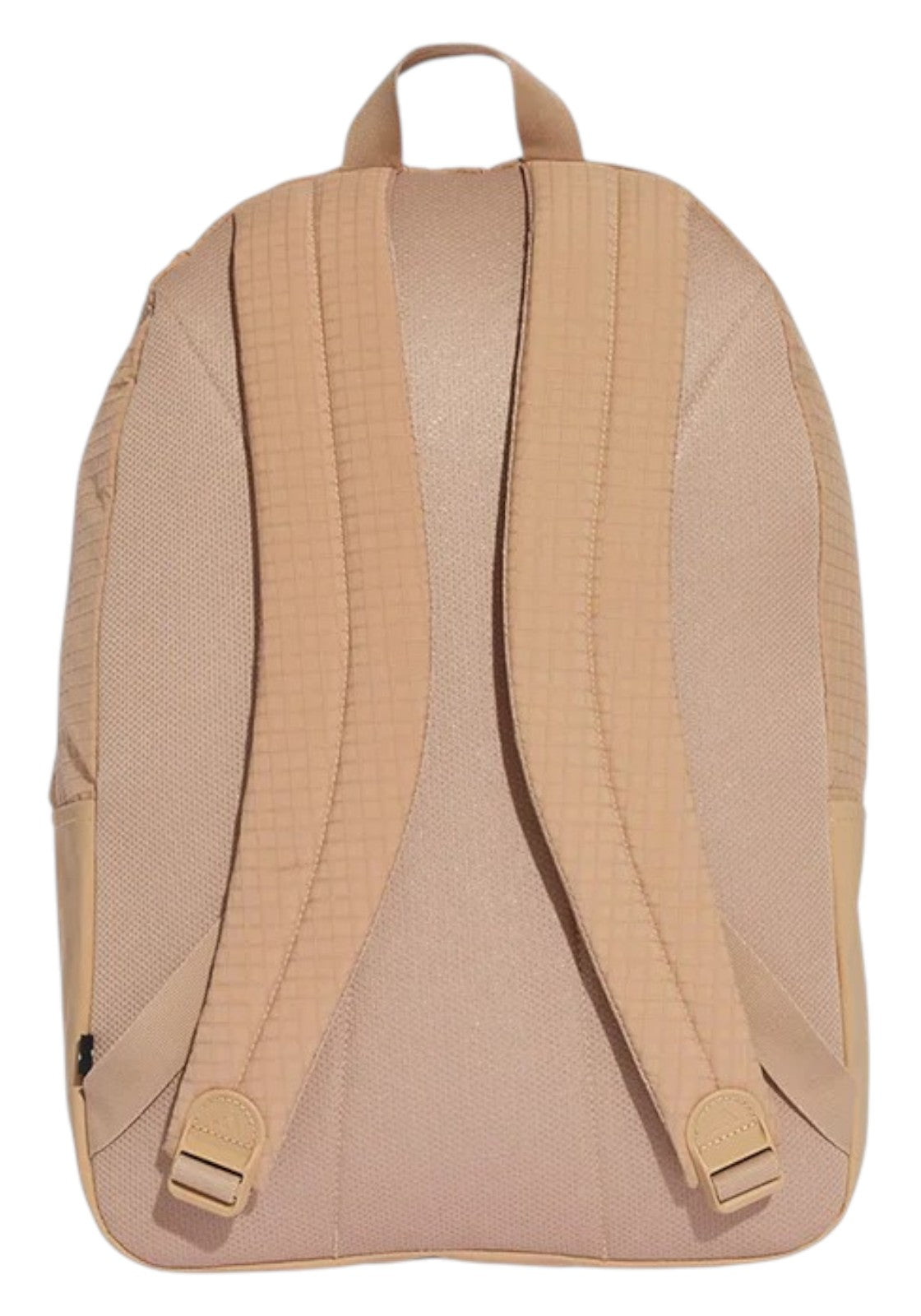 ACCESSORI LIFESTYLE Biscotto Adidas