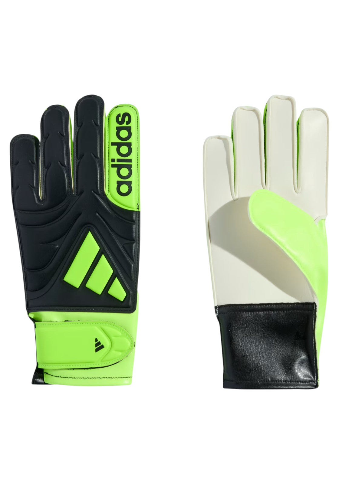 CALCIO Nero/verde Adidas