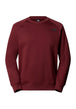 FELPE Bordeaux The North Face