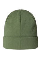 ACCESSORI LIFESTYLE Verde Salvia The North Face