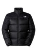 GIUBBINI E GIACCHE Nero The North Face