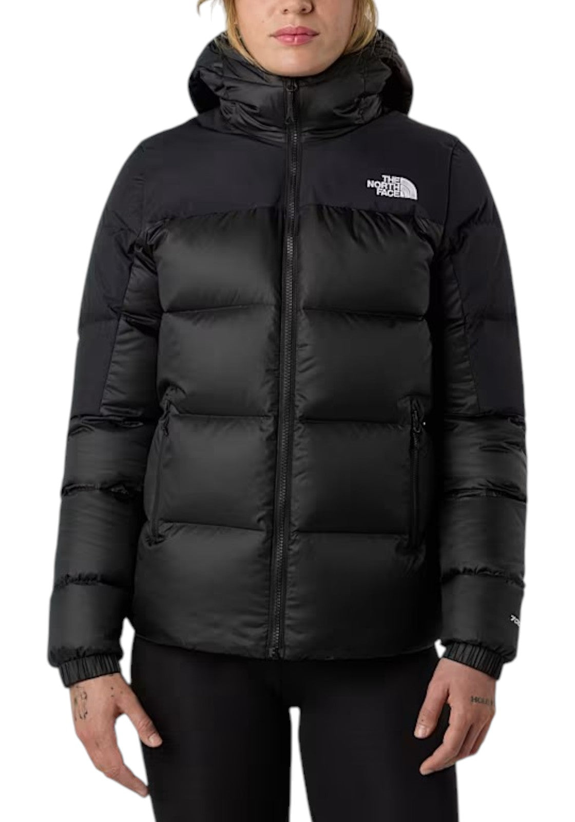 GIUBBINI E GIACCHE Nero The North Face