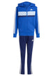 TUTE Azzurro/celeste Adidas