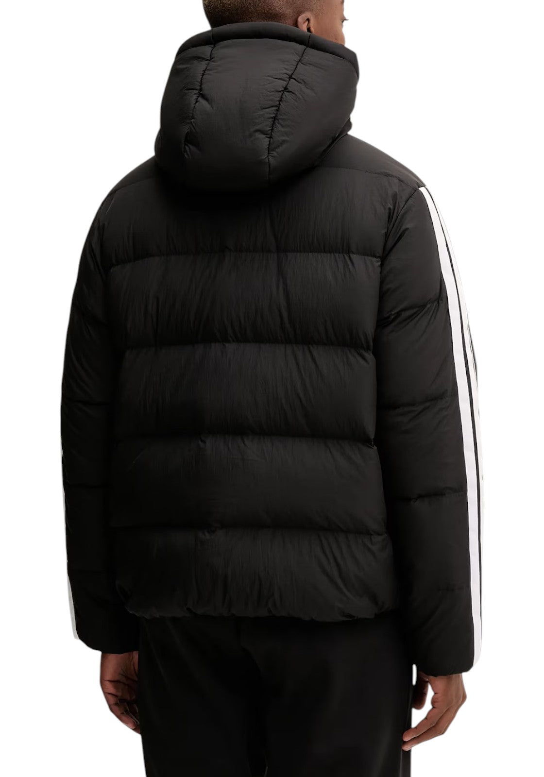 GIUBBINI E GIACCHE Nero/bianco Adidas