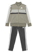 TUTE Verde/grigio Adidas