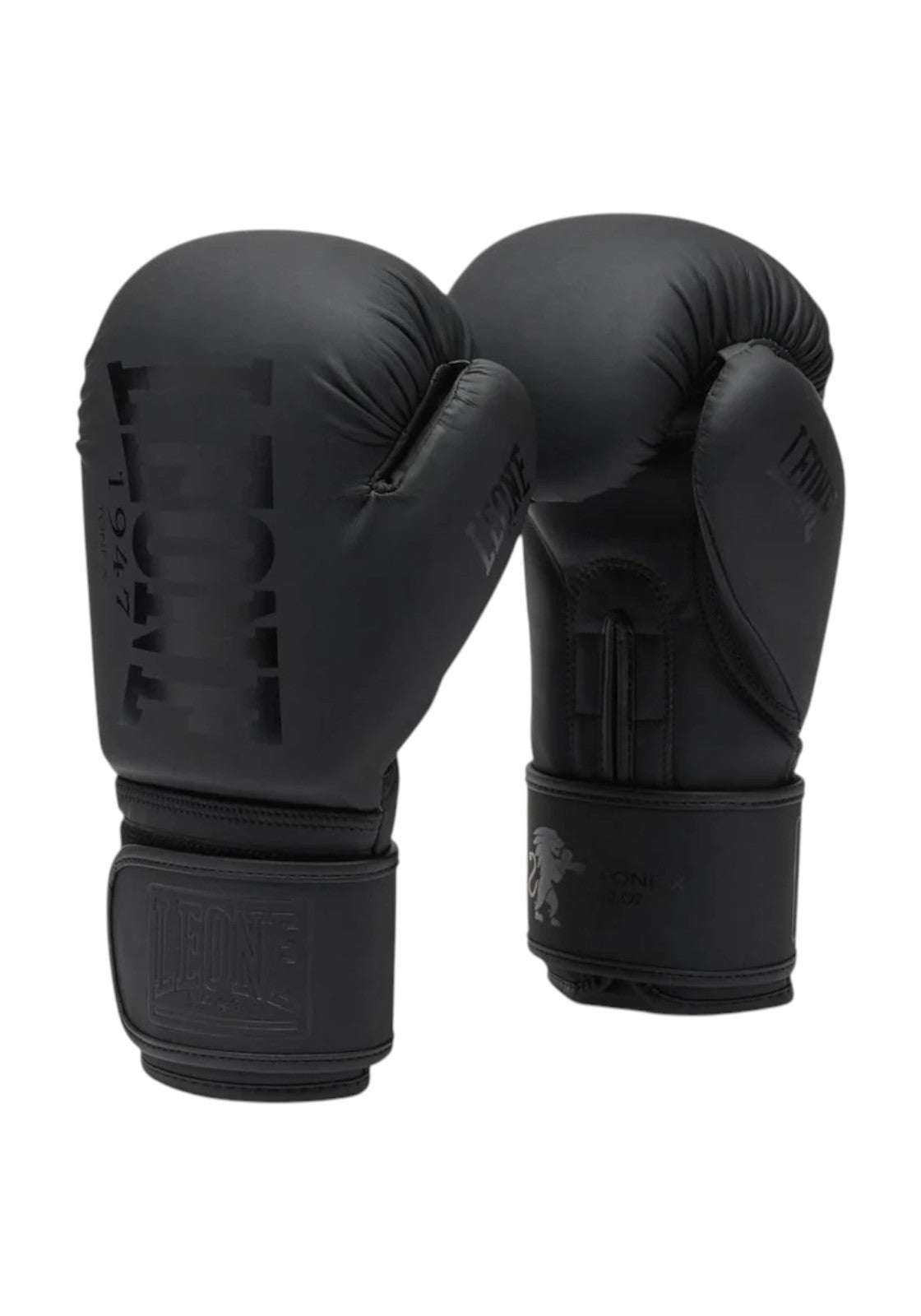 BOXE-KARATE-JUDO Nero Leone