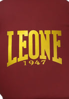 BOXE-KARATE-JUDO Bordeaux/oro Leone