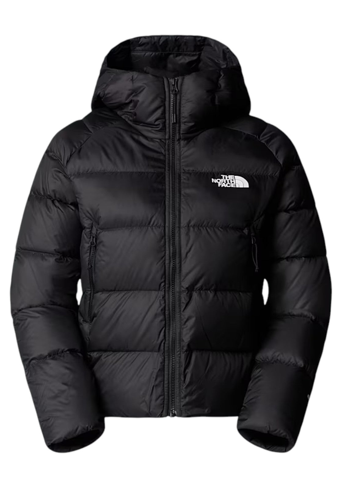GIUBBINI E GIACCHE Nero The North Face