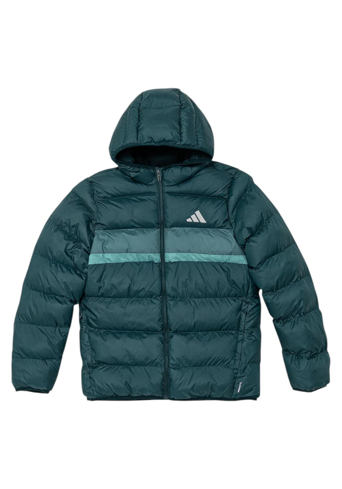 GIUBBINI E GIACCHE Verde Adidas