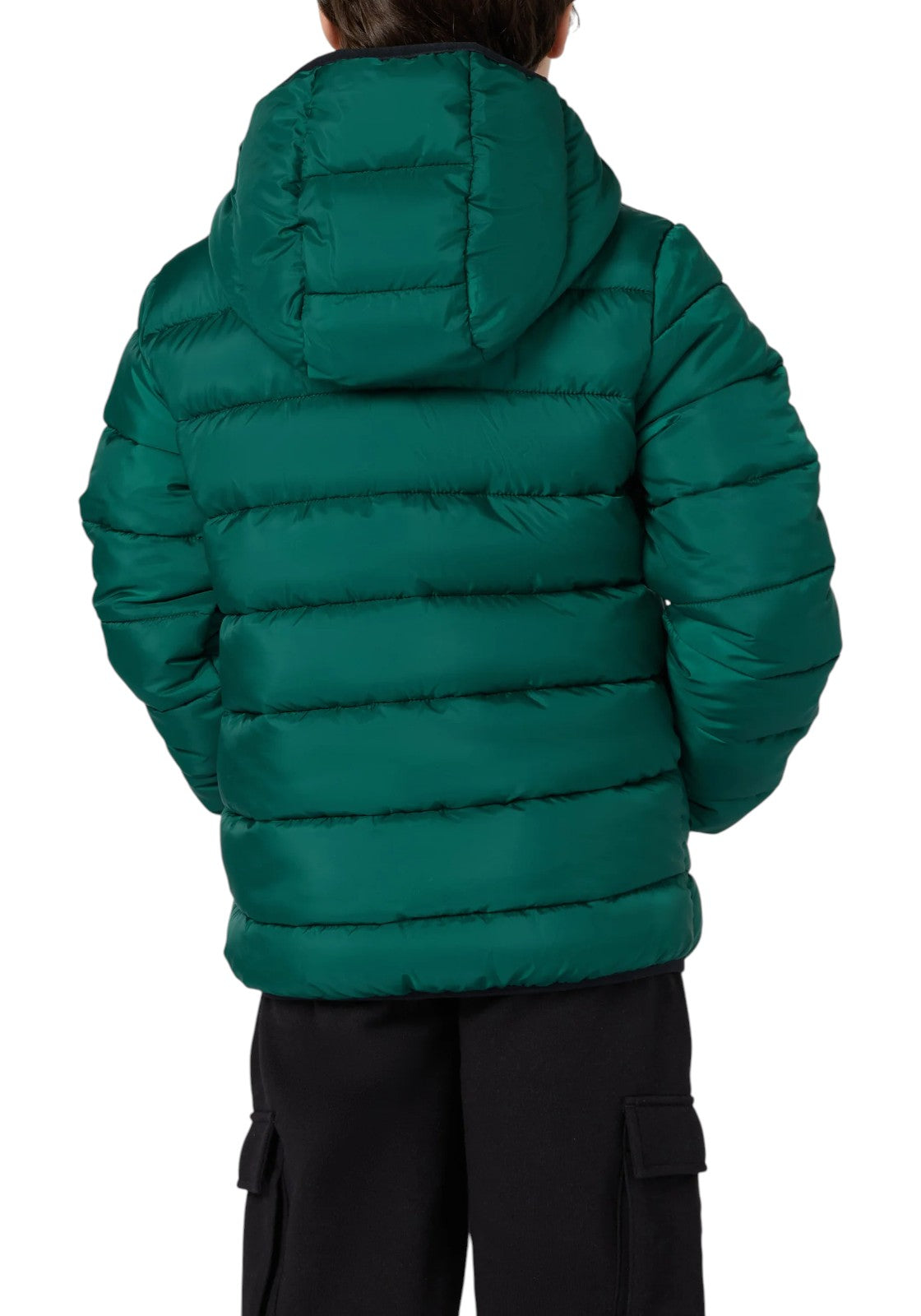 GIUBBINI E GIACCHE Verde Champion