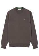 MAGLIONI E POLO Marrone Lacoste